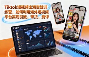 Tiktok短视频出海实战训练营,如何利用海外短视频平台实现引流、带货、测评-网创项目