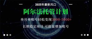 阿尔法托管计划 单账号月入3000-5000，长期稳定项目，新手小白轻松上手。-网创项目