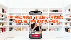 「TikTok出海实战」引流技巧+带货模式+爆款打造,单月变现10万+秘籍-网创项目