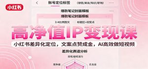 高净值IP变现课：小红书差异化定位，文案点赞成金， AI高效做短视频-网创项目