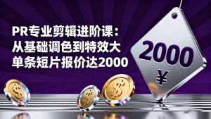 PR专业剪辑进阶课:从基础调色到特效大片的进阶技能,单条短片报价达2000-网创项目