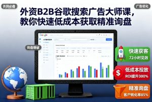 外资B2B谷歌搜索广告大师课,教你快速低成本获取精准询盘-网创项目