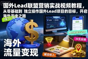 国外Lead联盟营销实战视频教程，从零基础到独立操作国外Lead项目的目标，开启海外淘金之路-网创项目