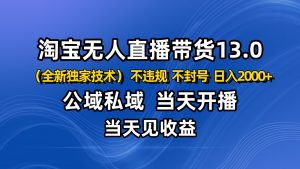 淘宝无人直播13.0，公域私域技术，不封号，不违规 布局下半年旺季赛道，日入2000+-网创项目