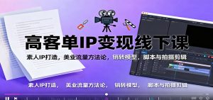 高客单IP变现线下大课：素人IP打造，美业流量方法论，销转模型，脚本与拍摄剪辑-网创项目