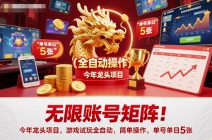 无限账号矩阵！今年龙头项目，游戏试玩全自动，简单操作，单号单日5张【揭秘】-网创项目