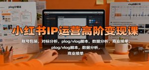 小红书IP运营高阶变现课：账号包装，对标分析，plog/vlog脚本，数据分析，商业接单-网创项目