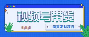 微信视频号带货项目,轻松日赚赚2000+,这个挣钱入口很多伙伴都在闷声发财-网创项目