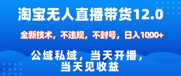 淘宝无人直播12.0，公域私域技术，不封号，不违规布局双十一流量风口，日入1k(独家技术)【揭秘】-网创项目