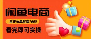 闲鱼高利润电商，当天上架当天出单，一单利润300-网创项目