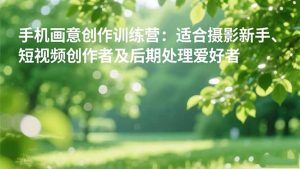 手机摄影之画意创作训练营:适合摄影新手、短视频创作者及后期处理爱好者-网创项目