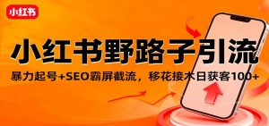 小红书野路子引流，暴力起号+SEO霸屏截流，移花接木日获客100+-网创项目