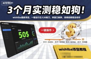 3个月实测稳如狗！wishlba最新项目，一键运行日入50美刀，单窗口躺挣，保姆级教程全给你【揭秘】-网创项目