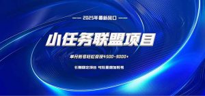 小任务联盟项目：一台电脑每天只需10分钟，轻松简单稳定-网创项目