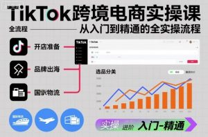 TikTok跨境电商实操课，从入门到精通的全实操流程-网创项目