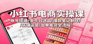 小红书电商实操课：账号搭建/多平台选品/爆款笔记制作/店铺运营/出单发货全流程-网创项目