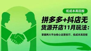 拼多多+抖店无货源开店11月玩法:掌握两大平台核心运营技巧,低成本高回报-网创项目