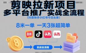 剪映拉新项目多平台推广实战全流程(抖音快手小红书今日头条)，8米一单，一天3张超简单-网创项目