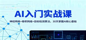 AI入门实战课：神经网络+卷积网络+目标检测算法，30天掌握AI核心基础-网创项目