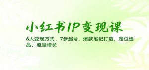 小红书IP变现课:6大变现方式,7步起号,爆款笔记打造,定位选品,流量增长-网创项目