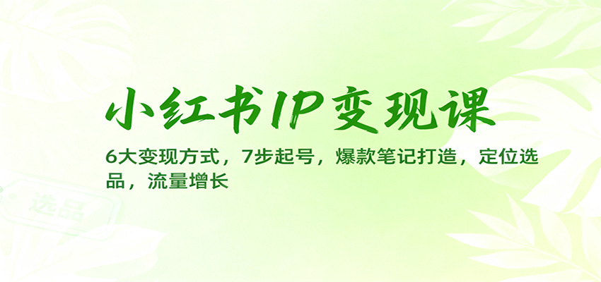 小红书IP变现课：6大变现方式，7步起号，爆款笔记打造，定位选品，流量增长-网创项目