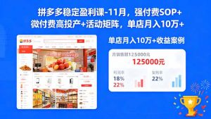 拼多多稳定盈利课-11月，强付费SOP+微付费高投产+活动矩阵，单店月入10w+-网创项目