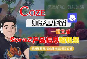 Coze扣子智能体工作流一键生成“SORA2产品信息“短视频,全流程保姆级教学-网创项目