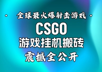 【年底大揭秘】基于全球最火爆的射击CSGO游戏挂G搬砖，日入5张+，震撼公开-网创项目
