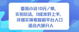 番茄小说10米每单，实拍玩法，0成本好上手，详细实操教程和平台入口适合大部分人-网创项目