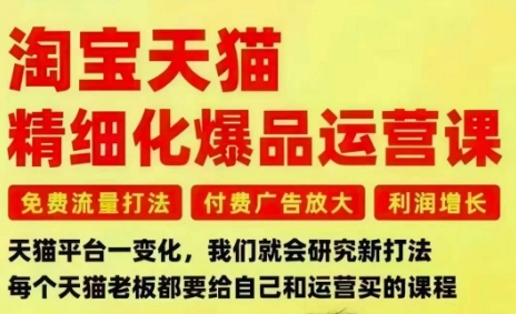 淘宝天猫精细化爆品运营课，免费流量打法-付费广告放大-利润增长-三大核心痛点，一次全部解决-网创项目