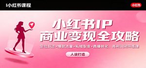 小红书IP商业变现全攻略：定位跃迁+爆款流量+私域裂变+直播转化，高利润闭环搭建-网创项目