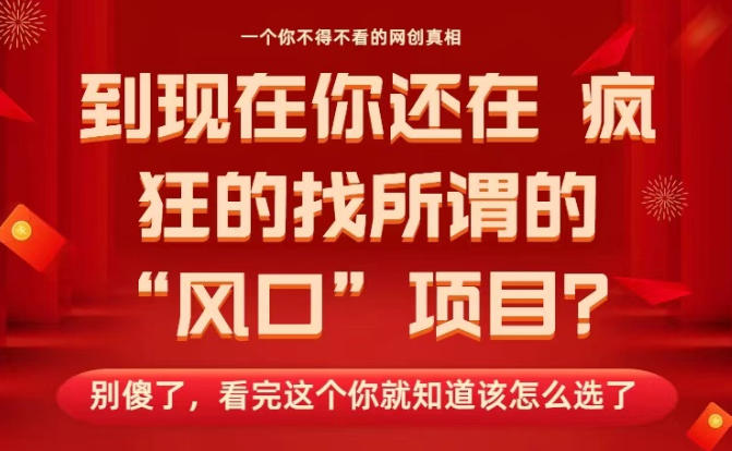 马上26年了，你还在找所谓的风口项目？别傻了，看完这个你全都懂了！【揭秘】-网创项目