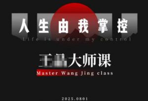 流量破局-人生由我掌控，从素人快速进阶，实现流量与商业价值双丰收-网创项目