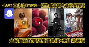 coze智能体sora2一键生成电商带货高端视频工作流保姆级拆解教程，无需剪辑，无需拍摄-网创项目