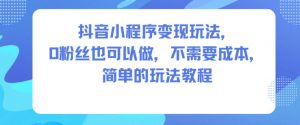 抖音小程序变现玩法，0粉丝也可以做，不需要成本，简单的玩法教程-网创项目