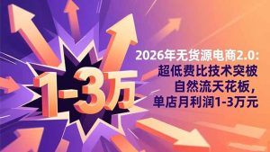 2026年无货源电商2.0【更新】：超低费比技术突破自然流天花板，单店月利润1-3万元-网创项目