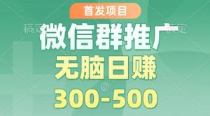 首发项目，微信群推广掘金，多号矩阵无脑日入3-5张【揭秘】-网创项目
