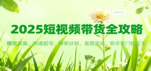 2025短视频带货全攻略:爆款文案,快速起号,种草计划,星图变现,新手零门槛上手-网创项目