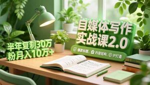 自媒体写作实战课2.0，爆款标题、内容结构、IP打造，半年复制30万粉月入10万+-网创项目
