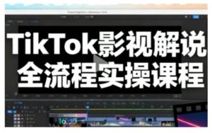 TikTok影视解说全流程实操，手把手教你打造TK爆款解说视频-网创项目