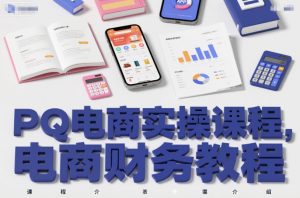 PQ电商实操课程,电商财务教程-网创项目