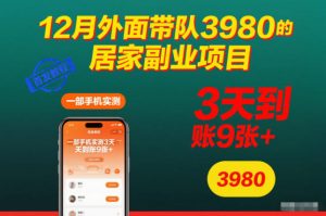 12月外面带队3980的居家副业项目，一部手机实测3天到账9张+，首发教程【揭秘】-网创项目