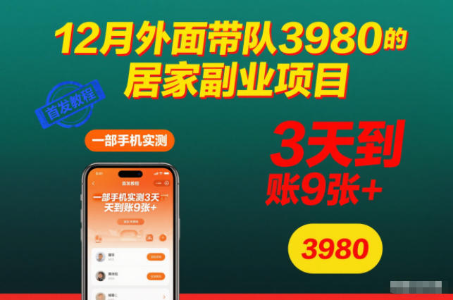 12月外面带队3980的居家副业项目，一部手机实测3天到账9张+，首发教程【揭秘】-网创项目