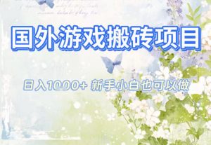国外游戏全自动搬砖项目，日入10张，新手小白也可做，项目红利期，先搞先吃肉【揭秘】-网创项目