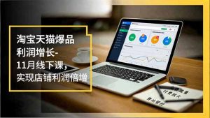 淘宝天猫爆品利润增长-11月线下课，免费流量、付费放大、费比管控，实现店铺利润倍增-网创项目