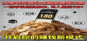 全程托管今日头条，一部手机就可以开干，最高躺赚1W+-网创项目