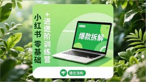 小红书零基础+高阶训练营:安全养号、爆款拆解、长效运营,实现稳定涨粉与变现-网创项目