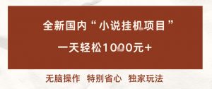 全新国内小说挂G项目,多窗口无脑跑,一天轻松1k+,特别省心【揭秘】-网创项目