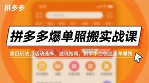 拼多多爆单照搬实战课，类目玩法、活动选择、避坑指南，新手小白快速出单赚钱-网创项目