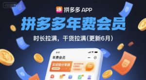 拼多多年费会员,实经验分享操,时长拉满,干货拉满(更新12月)-网创项目